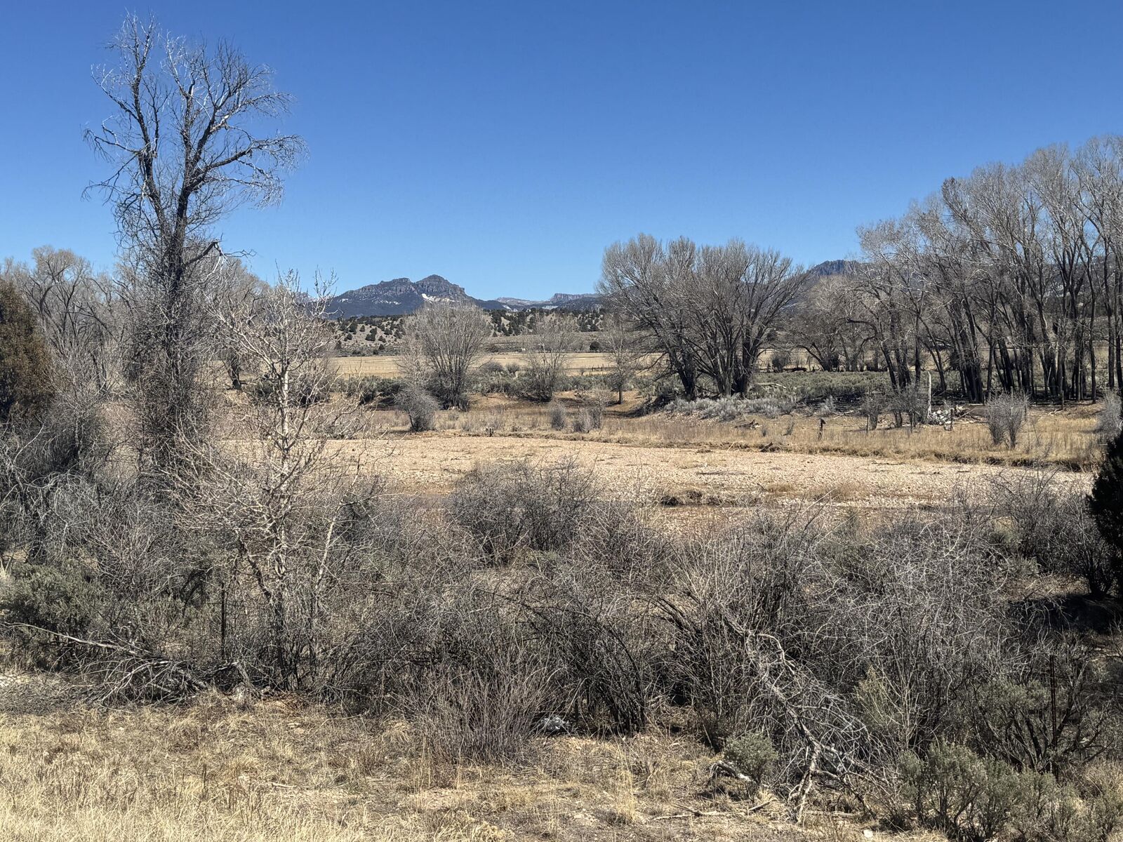 Property Photo:  1125 S Juniper Cir  UT 84759 
