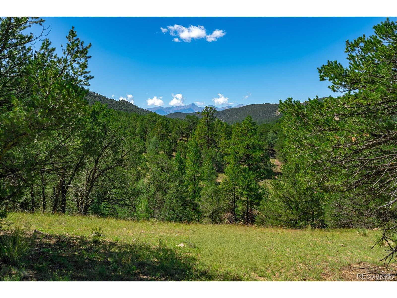 Property Photo:  9 Sundance Rd  CO 81223 