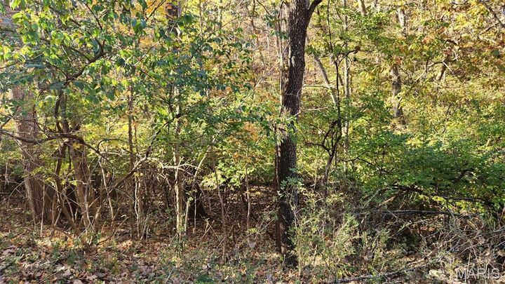 Property Photo:  818 West Gray Friar  MO 63357 
