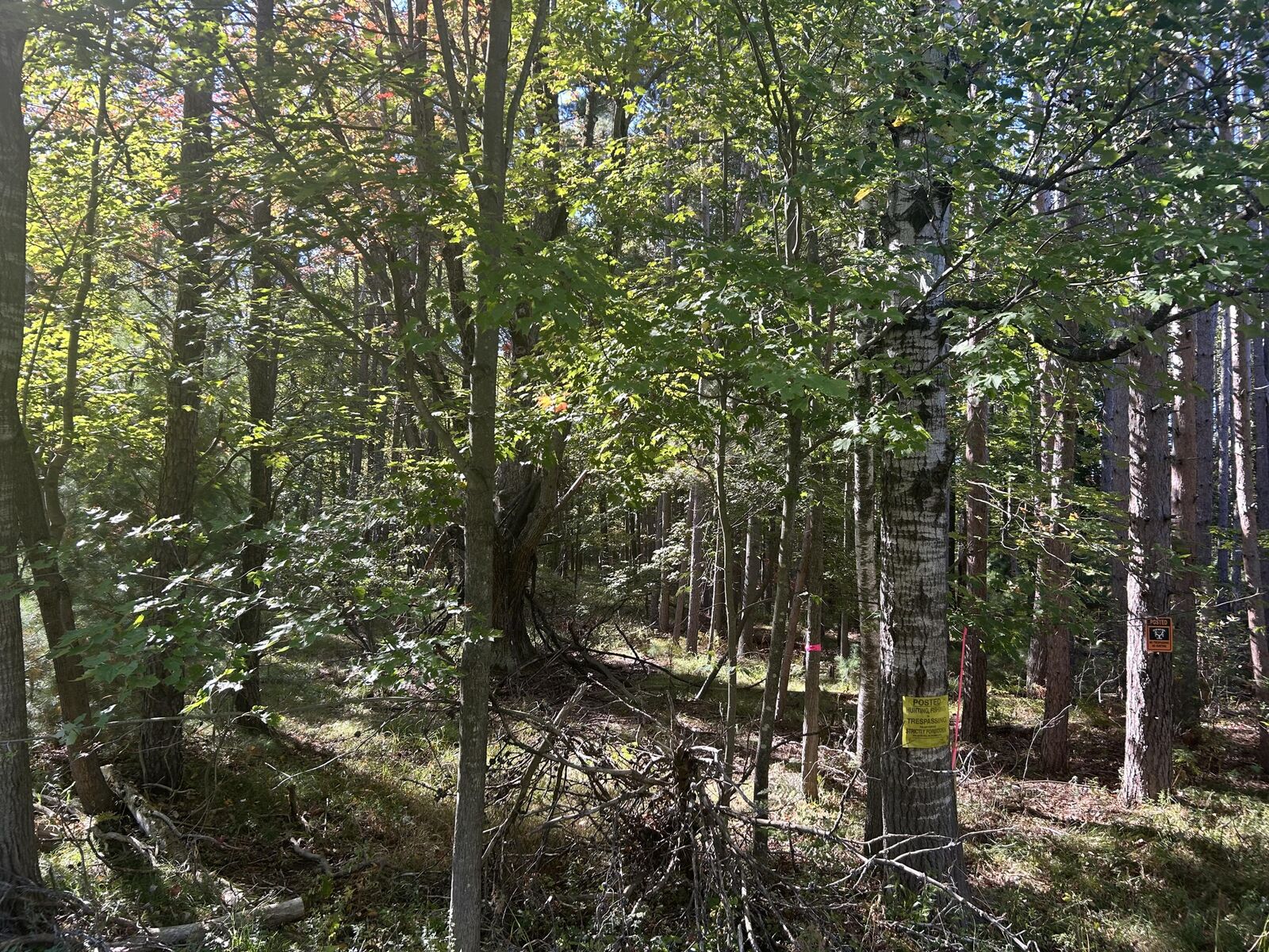 Property Photo: 6195 110th Avenue MI 49346