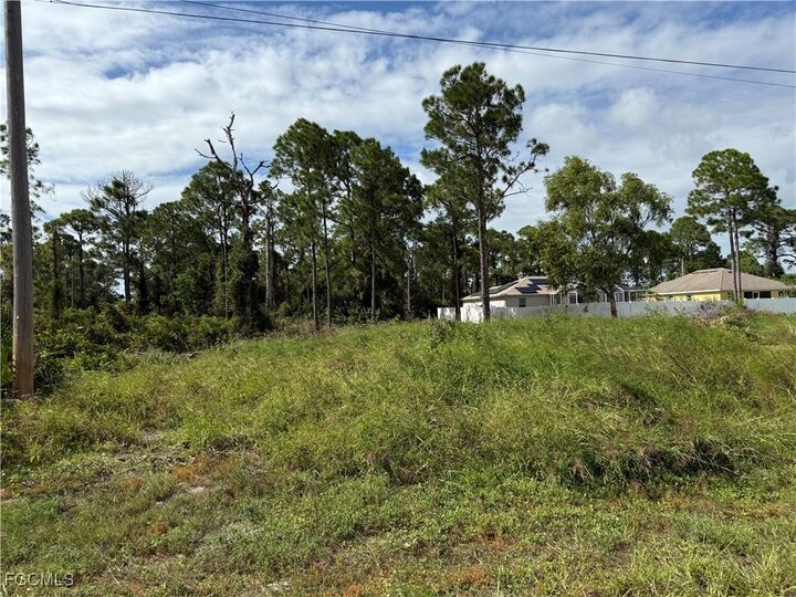 Property Photo:  1013 Grant Boulevard  FL 33974 