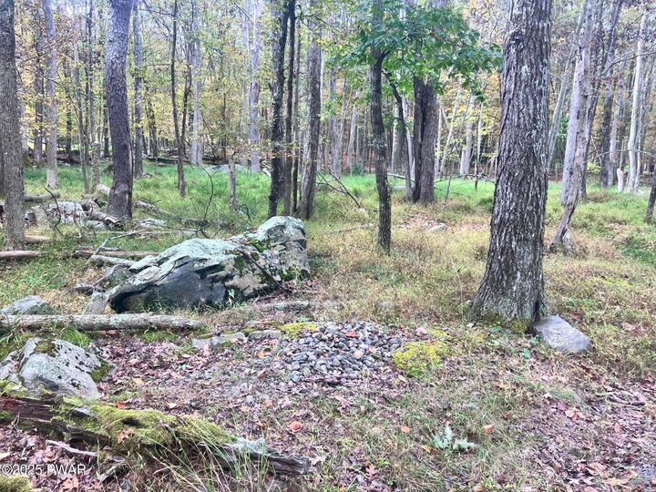 Property Photo: Buck Run Drive PA 18337
