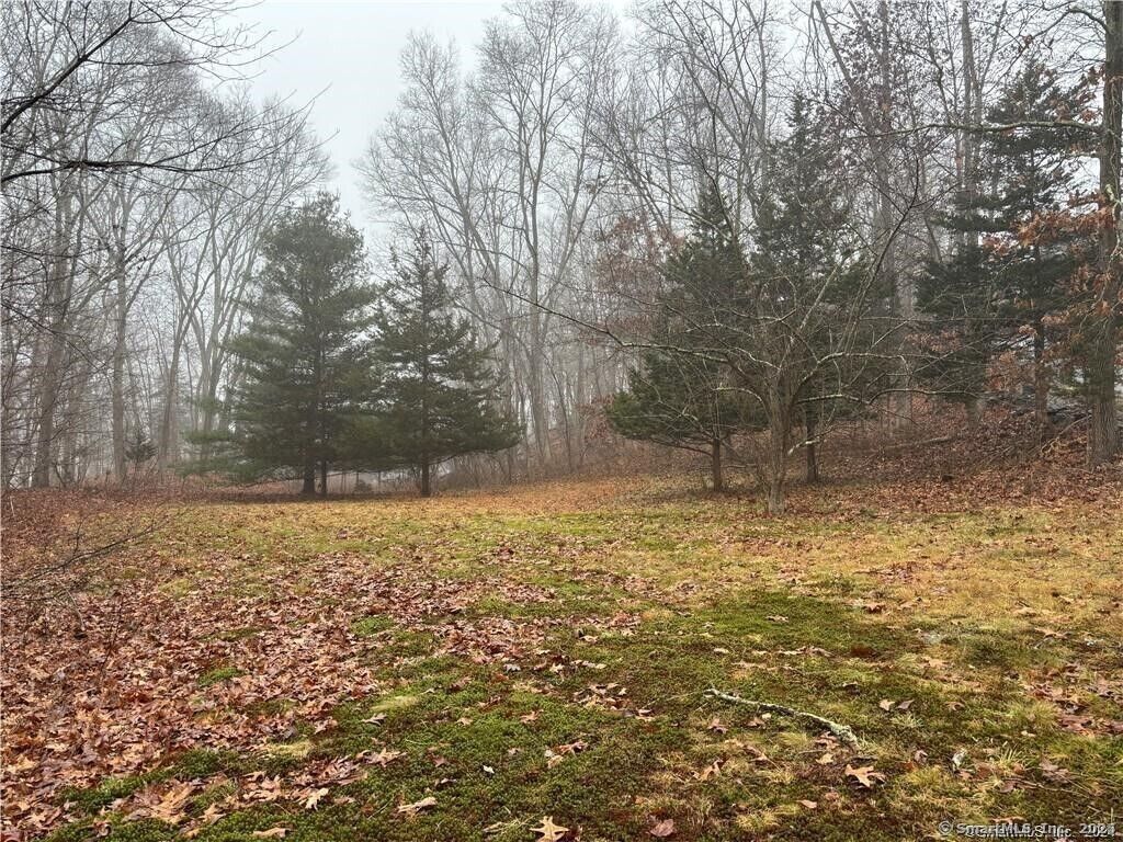 Property Photo: 278 Palmer St Extension CT 06360