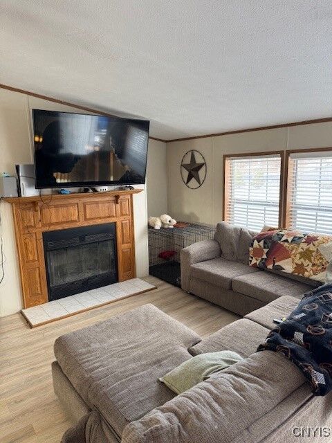 Property Photo:  24 Hillview Road  NY 14883 