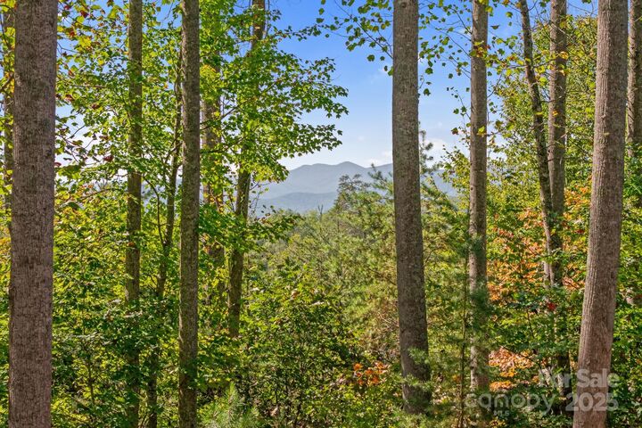 Property Photo:  21 Luther Woods Drive  NC 28715 