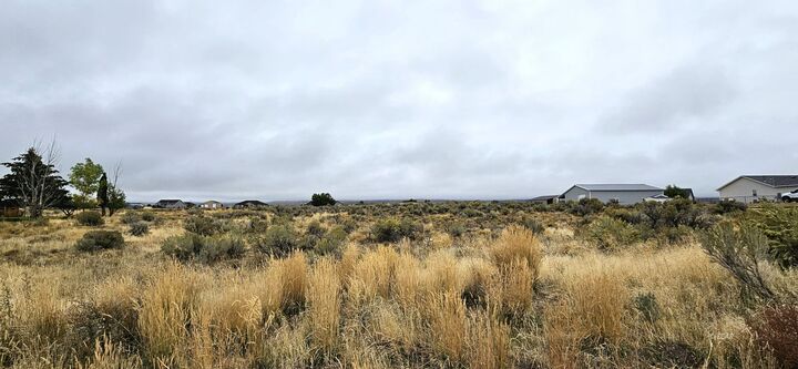 Property Photo: 768 Alpine Drive NV 89815