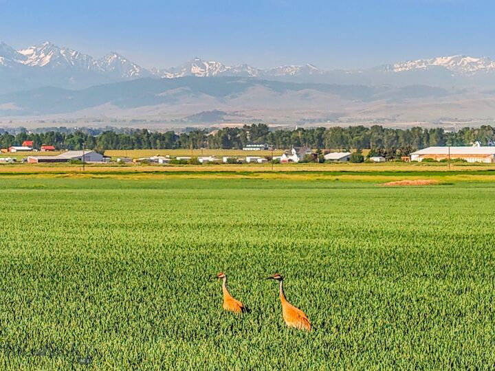 Property Photo:  Tbd Penwell Bridge Road  MT 59714 