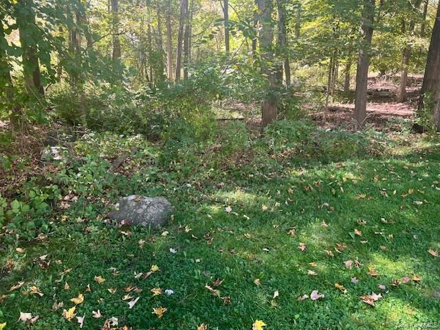 Property Photo:  Lot 16 Buttonwood Avenue  NY 10567 