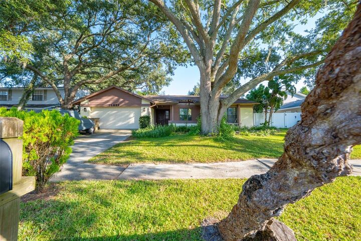 Property Photo:  12929 Rain Forest Street  FL 33617 