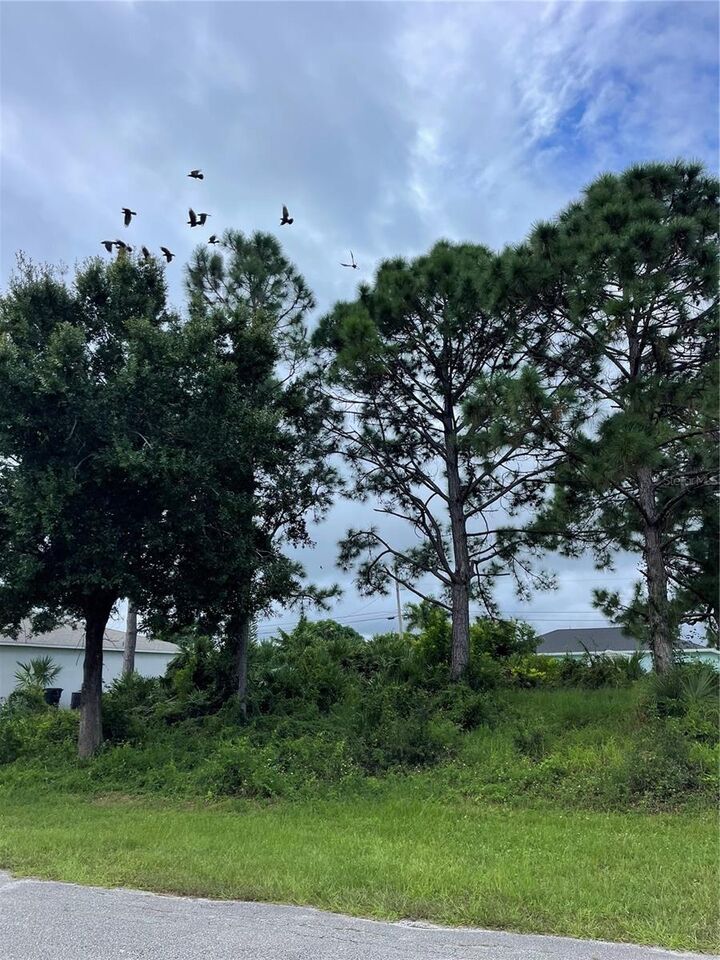 Property Photo: 454 SW Dahled Avenue FL 34953