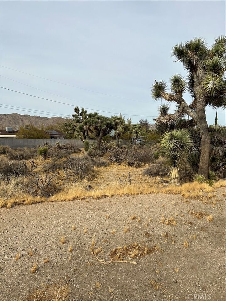 Property Photo: 0 Piute Trail CA 92374