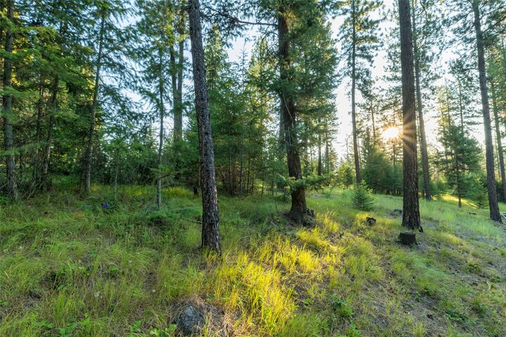 Property Photo:  18 Baldy Mountain View Road  MT 59859 