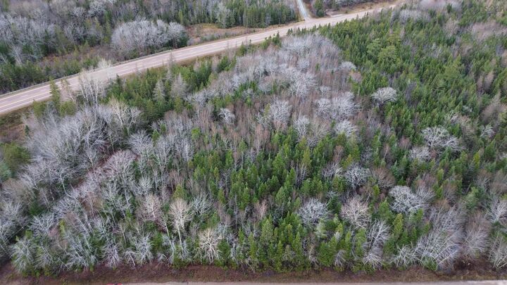 Property Photo:  Acreage 105 Highway  NS B9A 1S8 