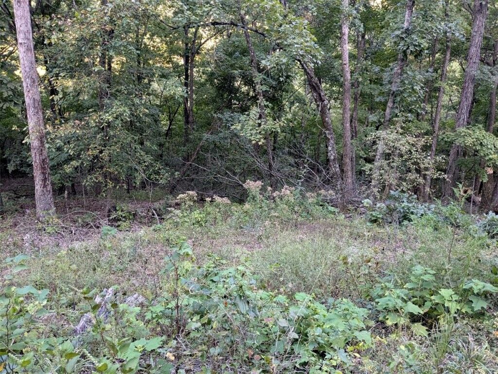 Property Photo:  31 Wildcat Lane  AR 72631 