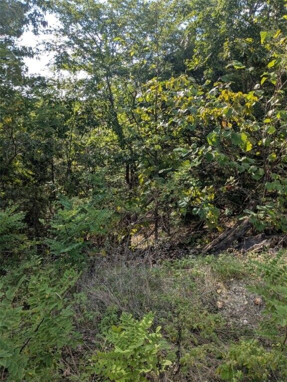Property Photo:  30 El Dorado Lane  AR 72631 