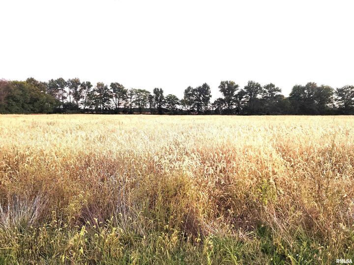 1682 E Coon Creek Road  Flora IL 62839 photo