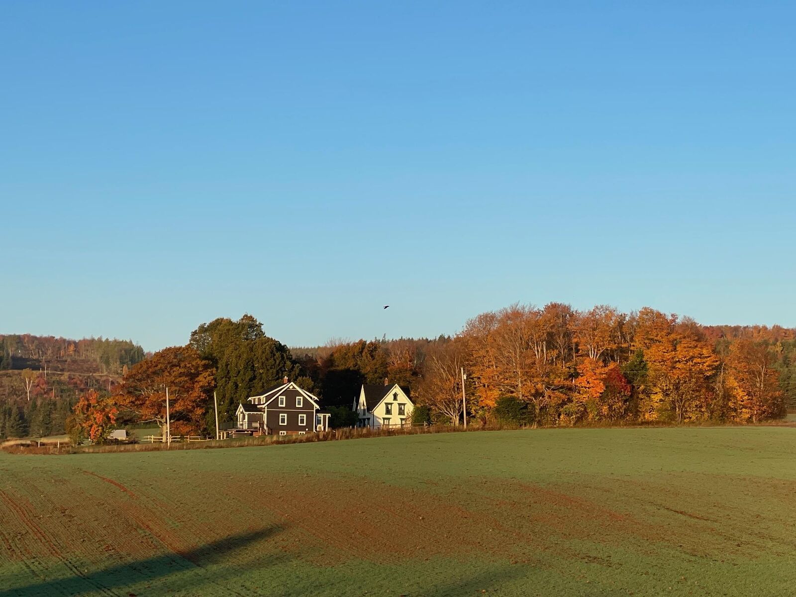 Property Photo:  662 &Amp 664 Long River Road  PE C0B 1M0