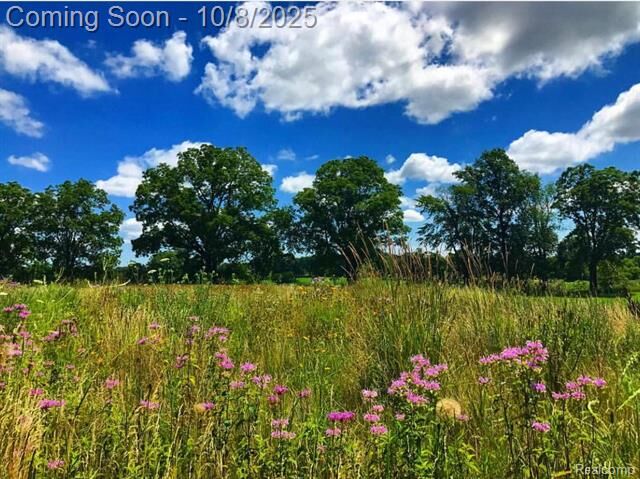 Property Photo: 8584 E Parker Road MI 48848