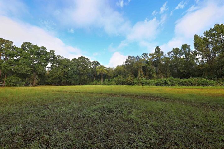 Property Photo:  23481 N US 19 (7.46 Ac) Highway  GA 31773 