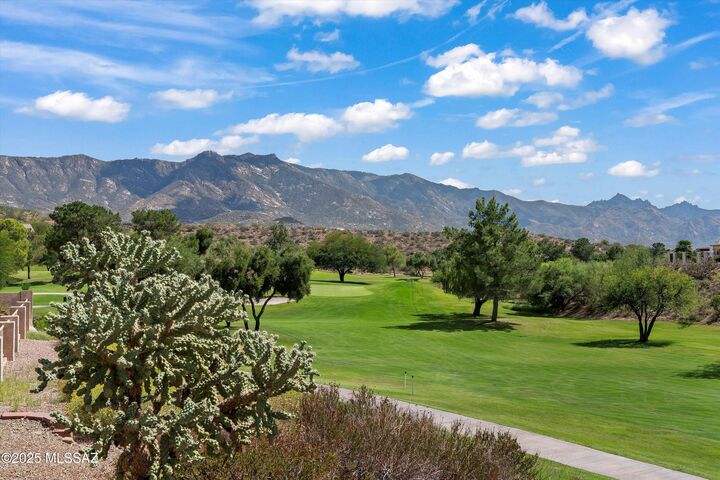64659 E Rosewood Drive  Saddlebrooke AZ 85739 photo
