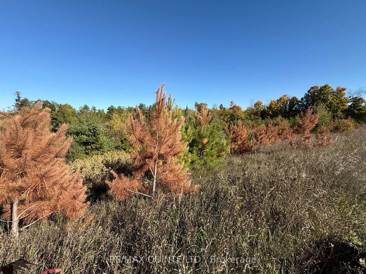 Property Photo:  0 Price Road  ON K0K 3J0 