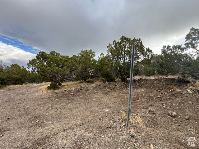 Property Photo: 15149 Rose View Ln 1523 UT 84065