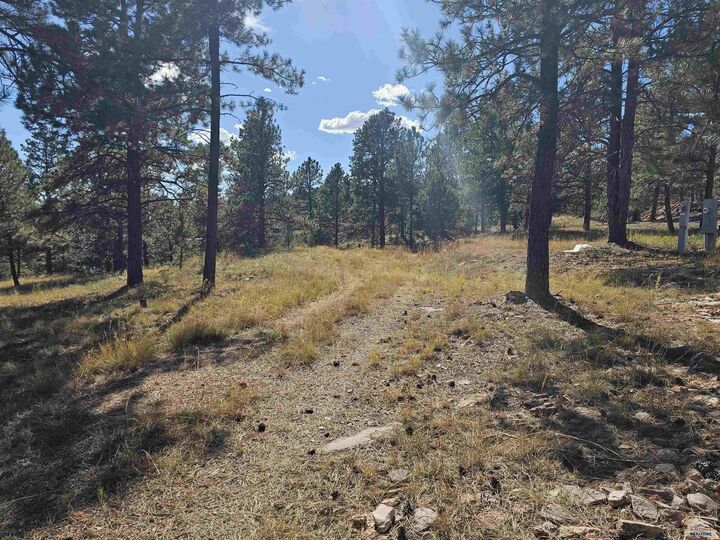 Property Photo:  24653 Outback Trail  SD 57744 