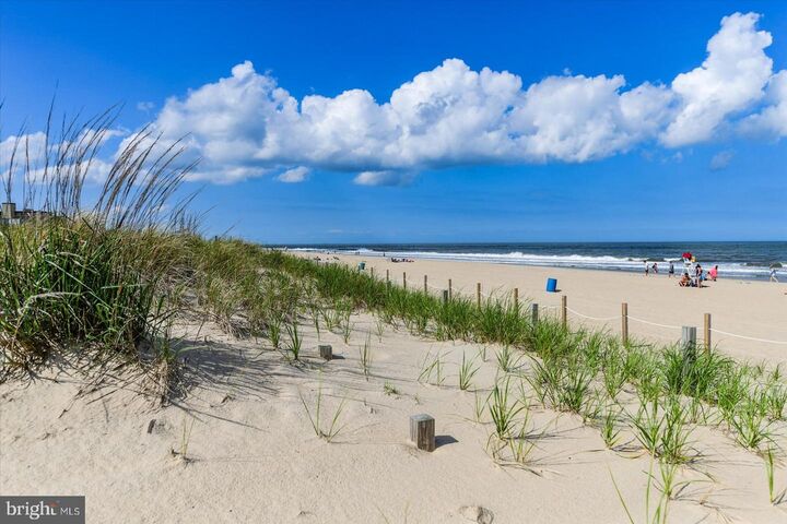 Property Photo: 13110 Coastal Highway 505 MD 21842