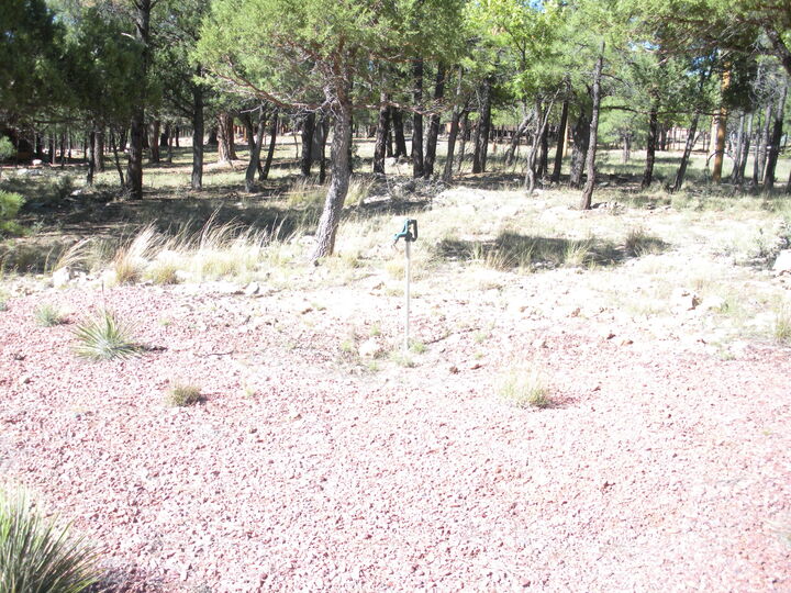 Property Photo: 2452 Starlight Drive AZ 86024