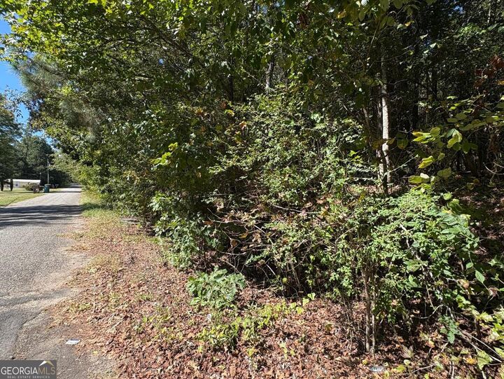 Property Photo: 0 Old Greensboro Road GA 30669