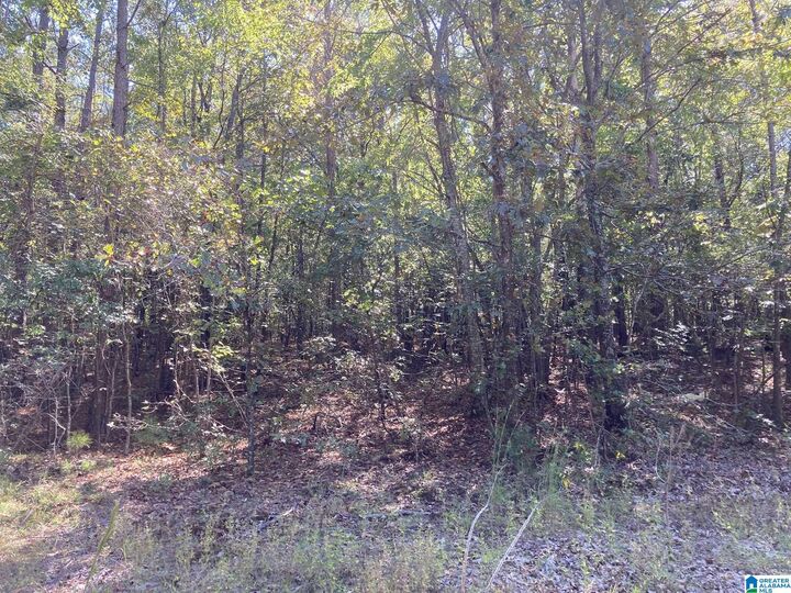 Property Photo: 39 Spotted Horse Trail None AL 35160