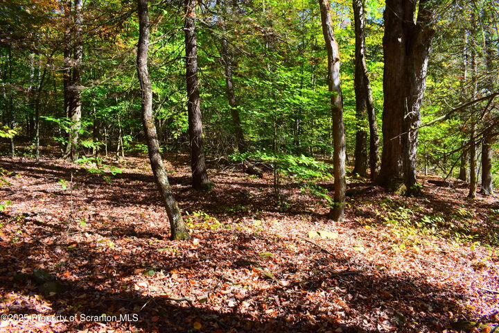 Property Photo: Westwoods Road Road PA 18812