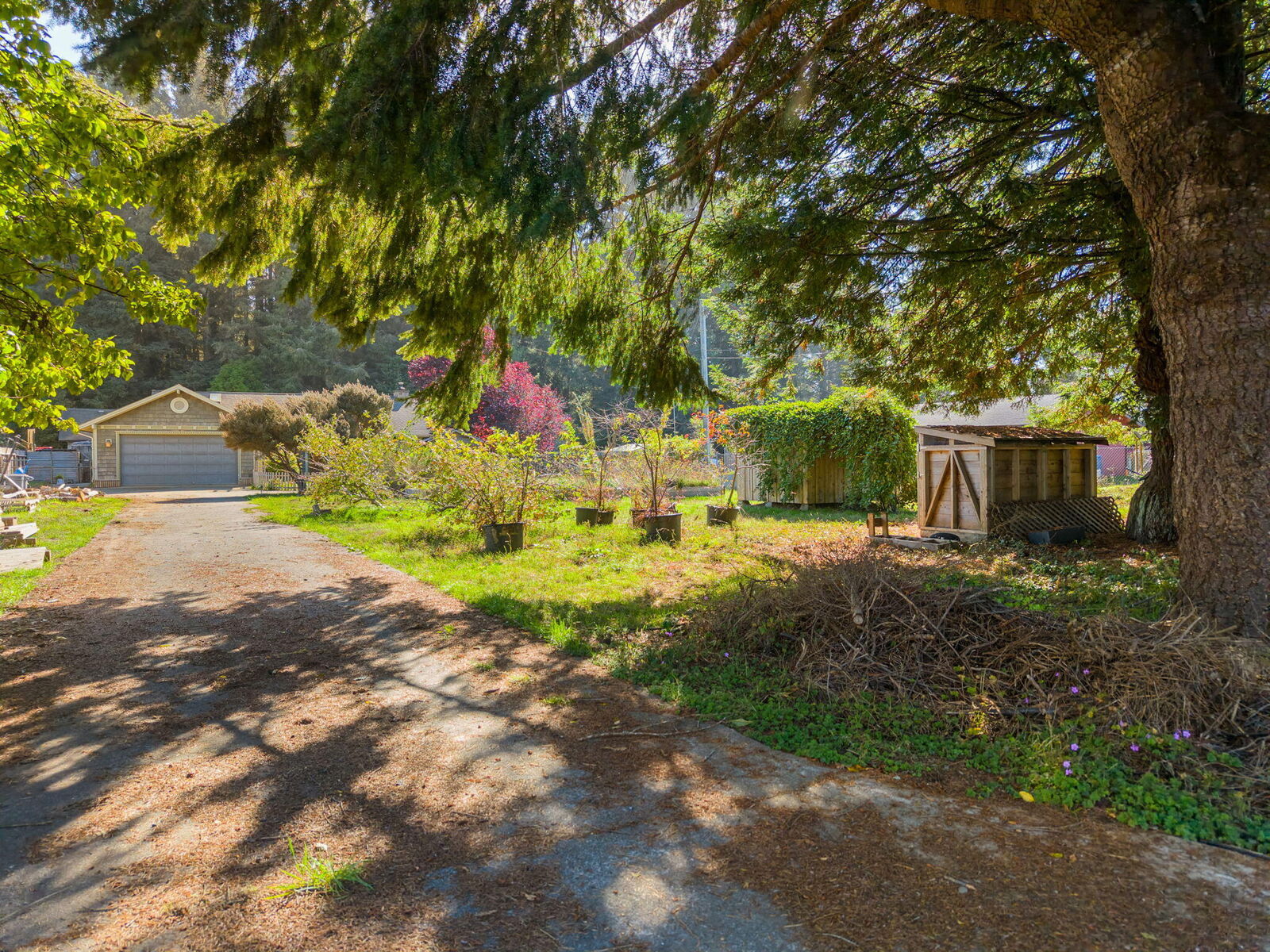 Property Photo:  1690 Baird Road  CA 95519 