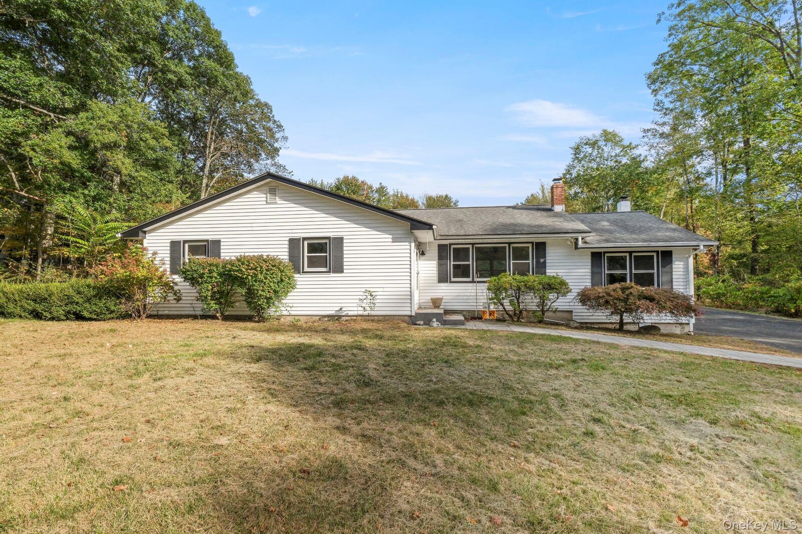 Property Photo:  150 Long Lane  NY 12721 