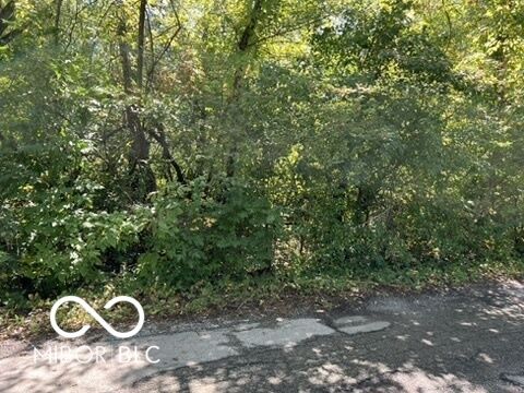 2960 Sapphire Boulevard  Indianapolis IN 46268 photo