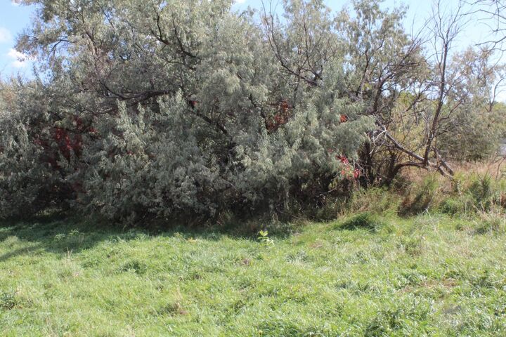 Property Photo: Lot 6 Sage Road WY 82701