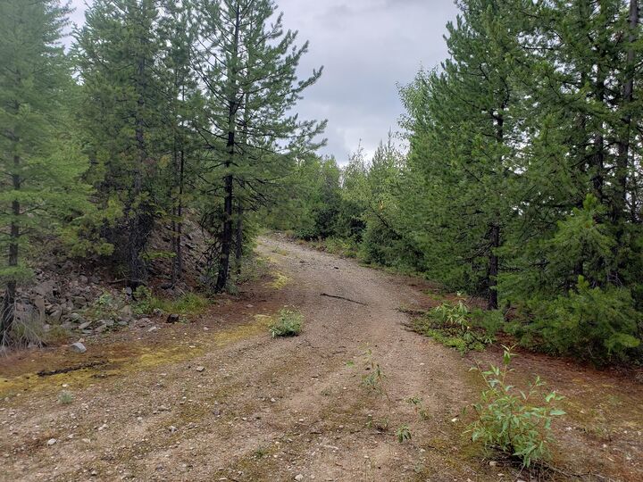 Property Photo:  Lot 22 Nine Mile Road  MT 59846 