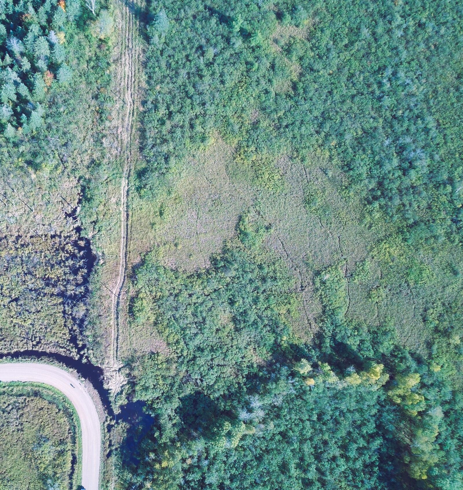 Property Photo:  3xxx County Rd 132  MN 55757 
