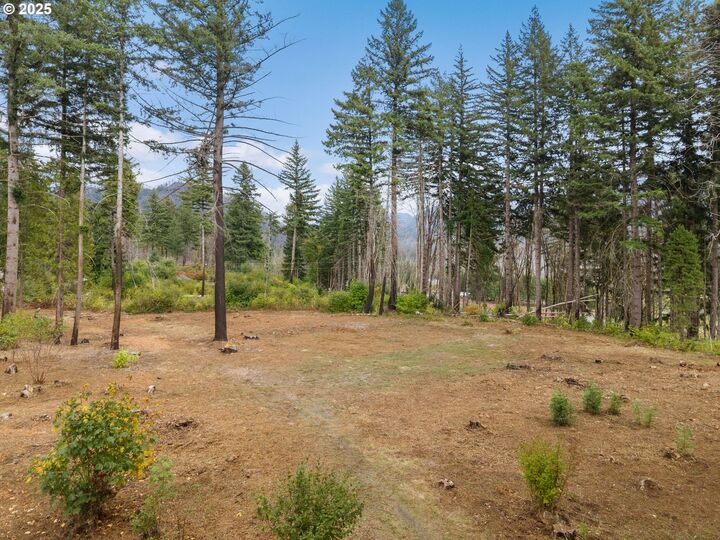 Property Photo:  51209 Blue River Dr  OR 97488 