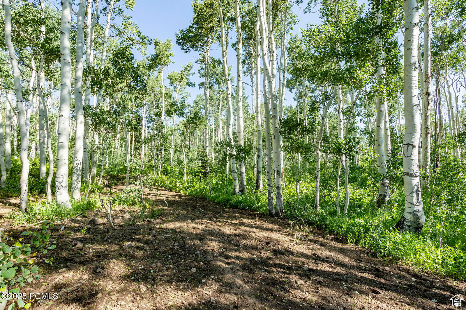 Property Photo:  5156 N Pebble Drive  UT 84049 