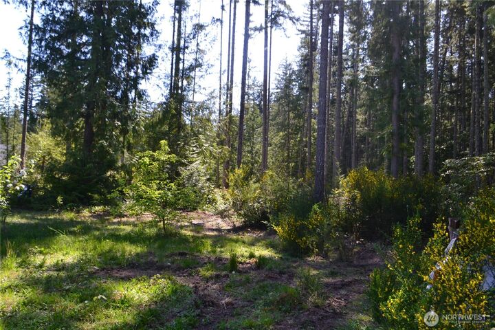 7975  Seabeck Highway NW  Bremerton WA 98312 photo