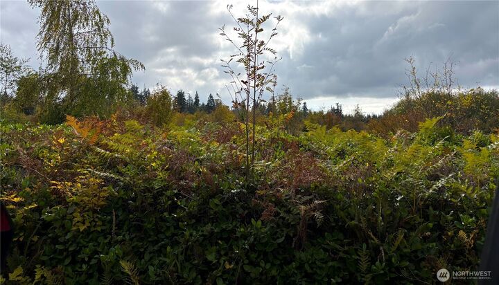 Property Photo:  37 Xx  188th Street NW Lot 2  WA 98292 