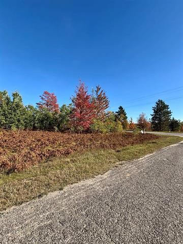 Property Photo: Lot 1200 Thornton Drive MI 49659