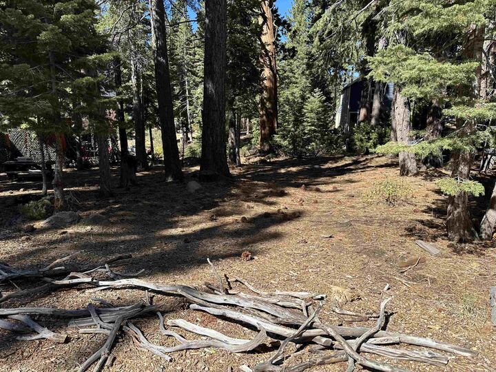 Property Photo:  Lot 9 Lake Terrace Avenue  CA 96145-000 