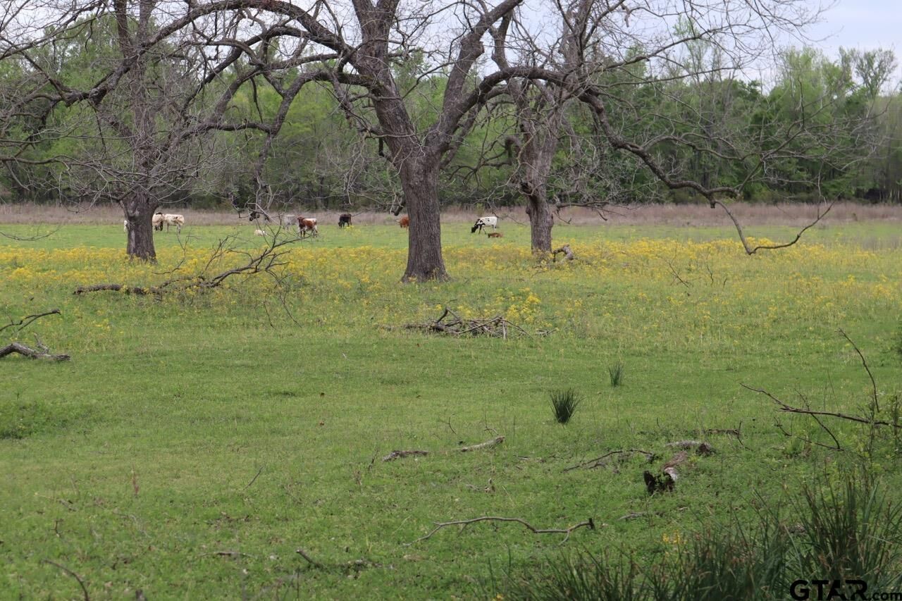 Property Photo: Tbd Rs County Road 2365 TX 75410
