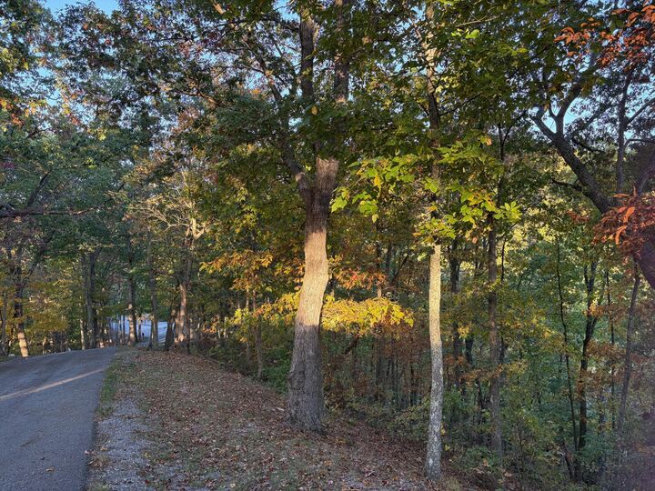 Property Photo: Lot 41 Wildwood Ridge WV 24925