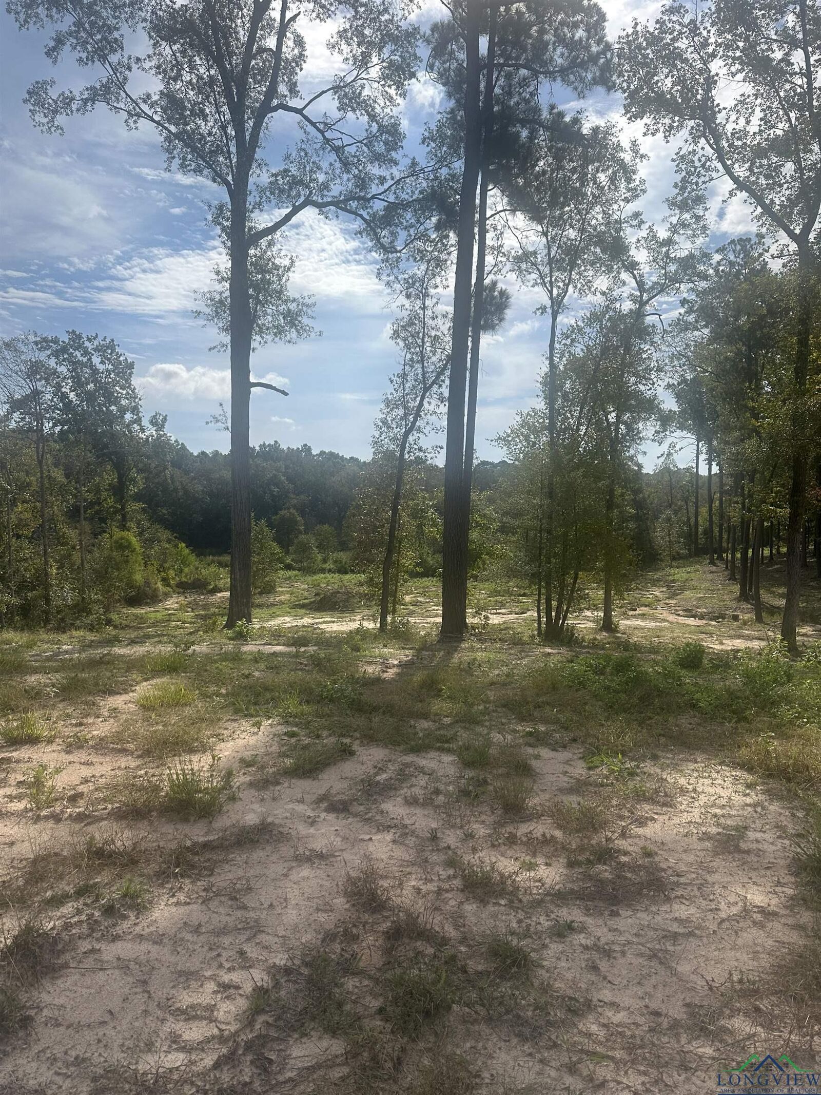 Property Photo:  241 Indian Rock Dr  TX 75645 