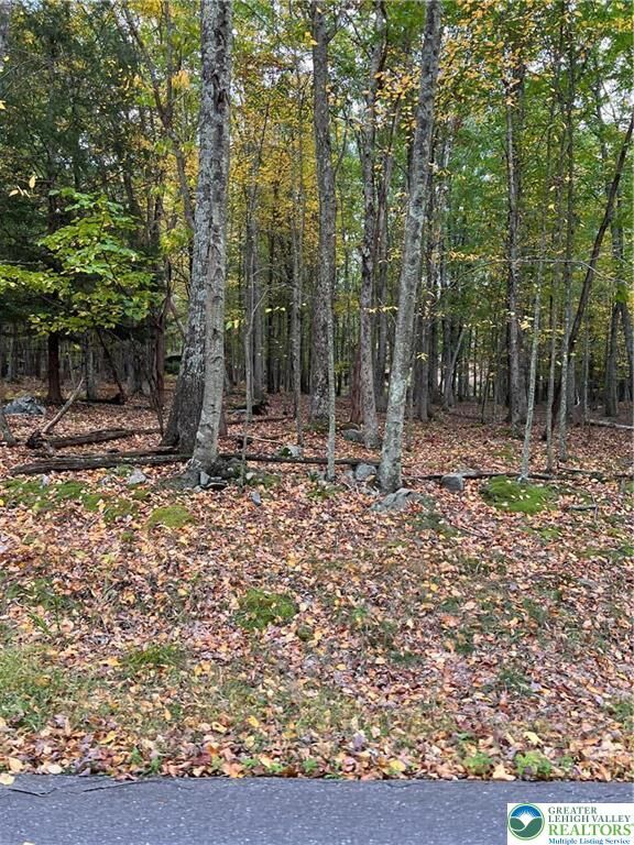 Property Photo: 289 Forest Drive PA 18325