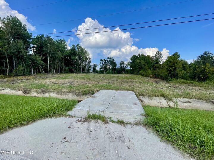 Property Photo:  Terrace Avenue  MS 39576 