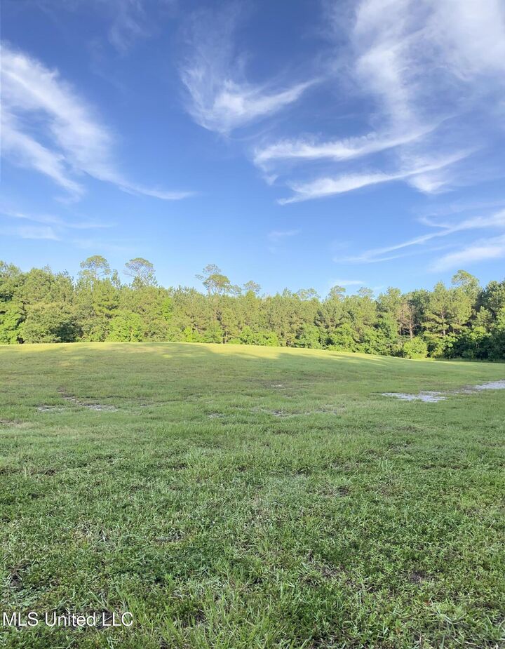 Property Photo: 1441 Blue Meadow Road MS 39520